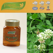 Clover Honey 2012 harvest pure natural raw honey OEM